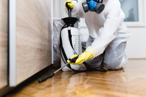 Best Pest Control Cost  in Tioga, TX