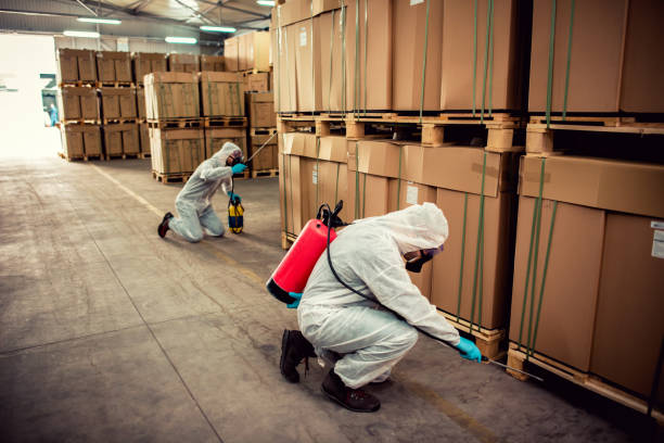 Best Pest Removal Services  in Tioga, TX