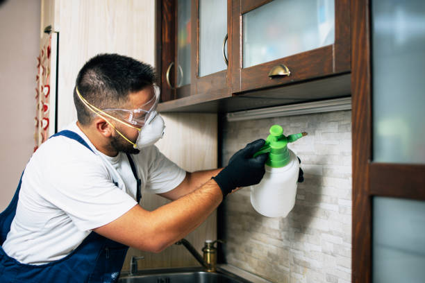 Best Wildlife Control Services  in Tioga, TX
