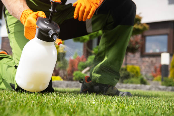 Professional Pest Control in Tioga, TX