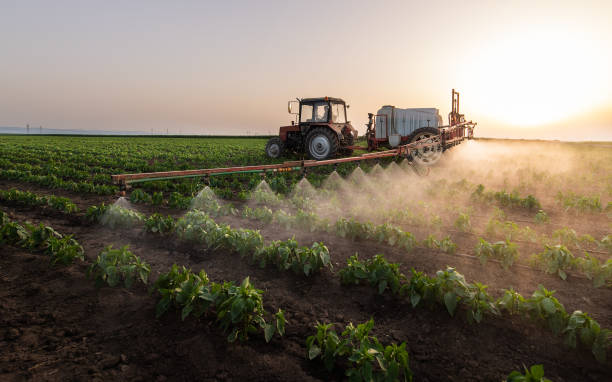 Best Pest Control Near Me  in Tioga, TX
