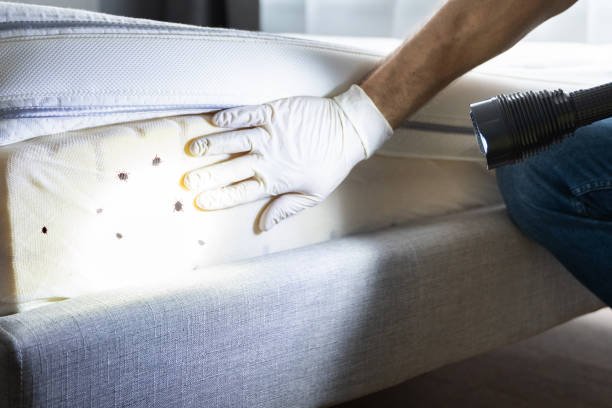 Pest Control for Restaurants in Tioga, TX