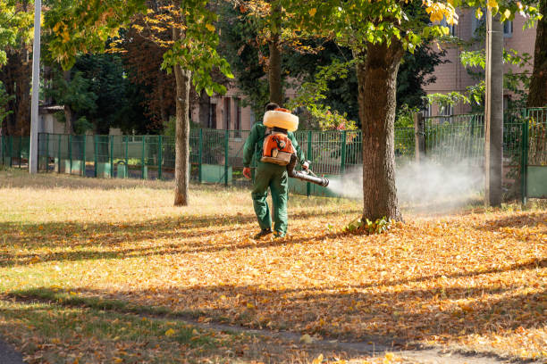 Best Bed Bug Extermination  in Tioga, TX