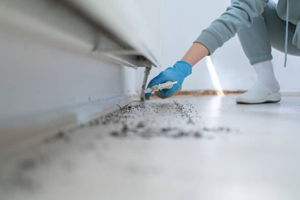Pest Control Cost in Tioga, TX