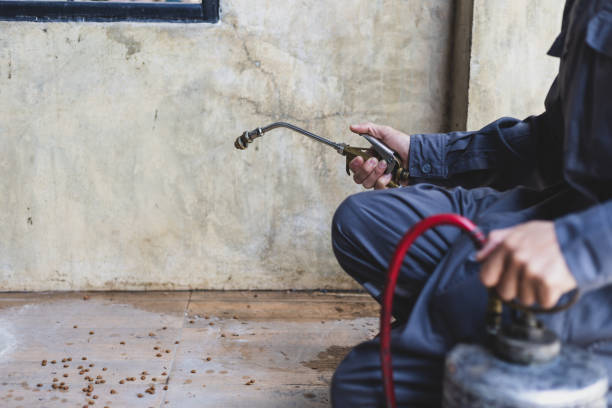 Best Termite Control Services  in Tioga, TX